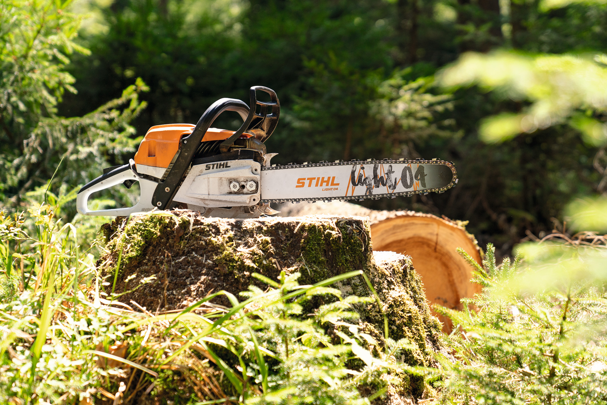 Tronçonneuse à essence STIHL MS261C-M sur un tronc d’arbre en forêt